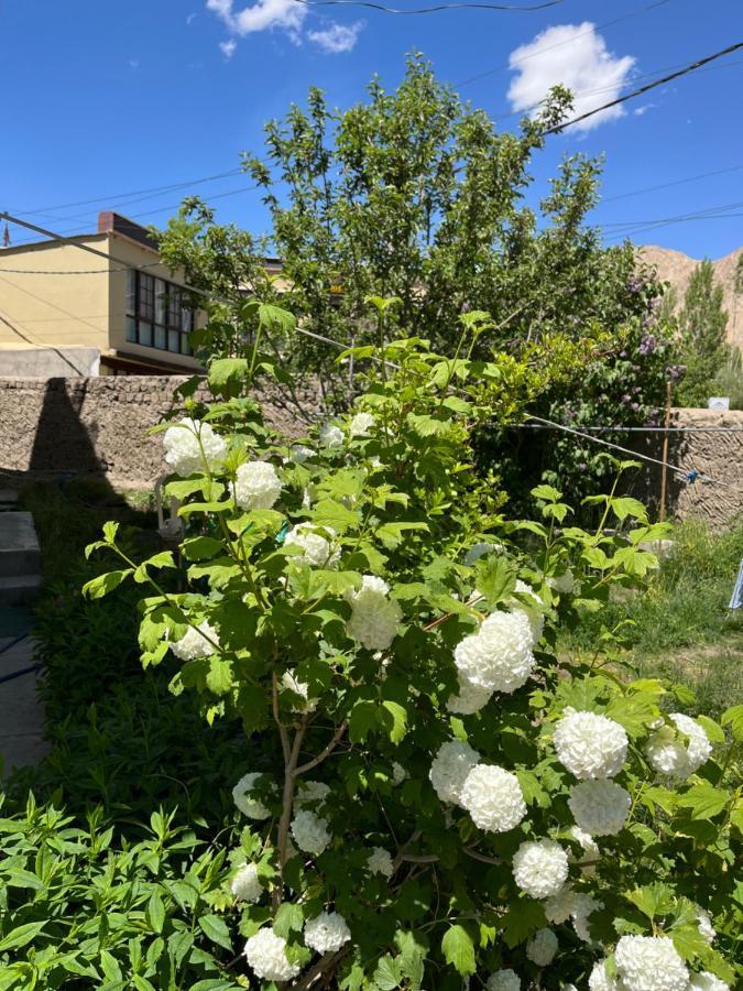 Chakzot Garden House 호텔 레 외부 사진