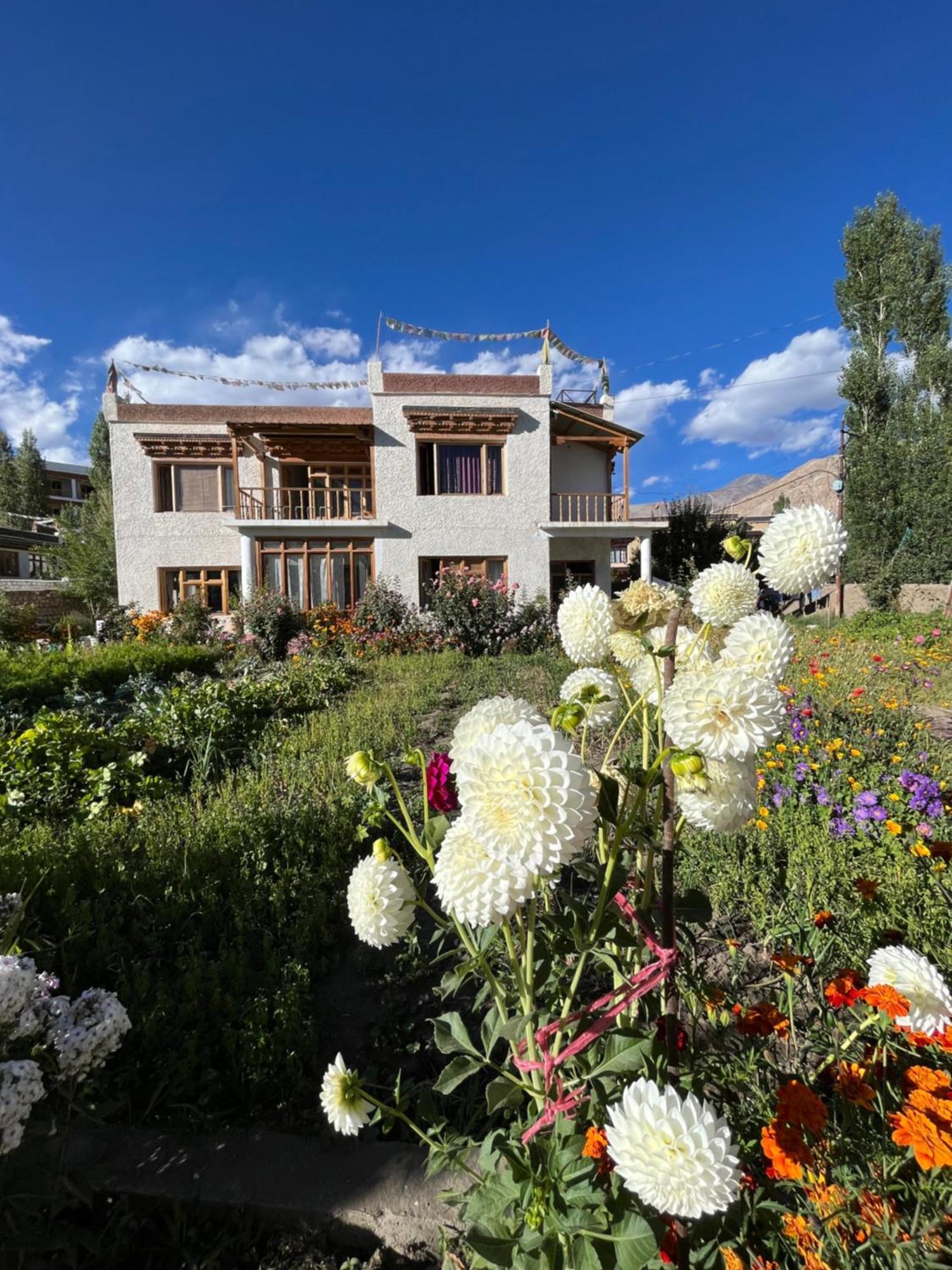 Chakzot Garden House 호텔 레 외부 사진