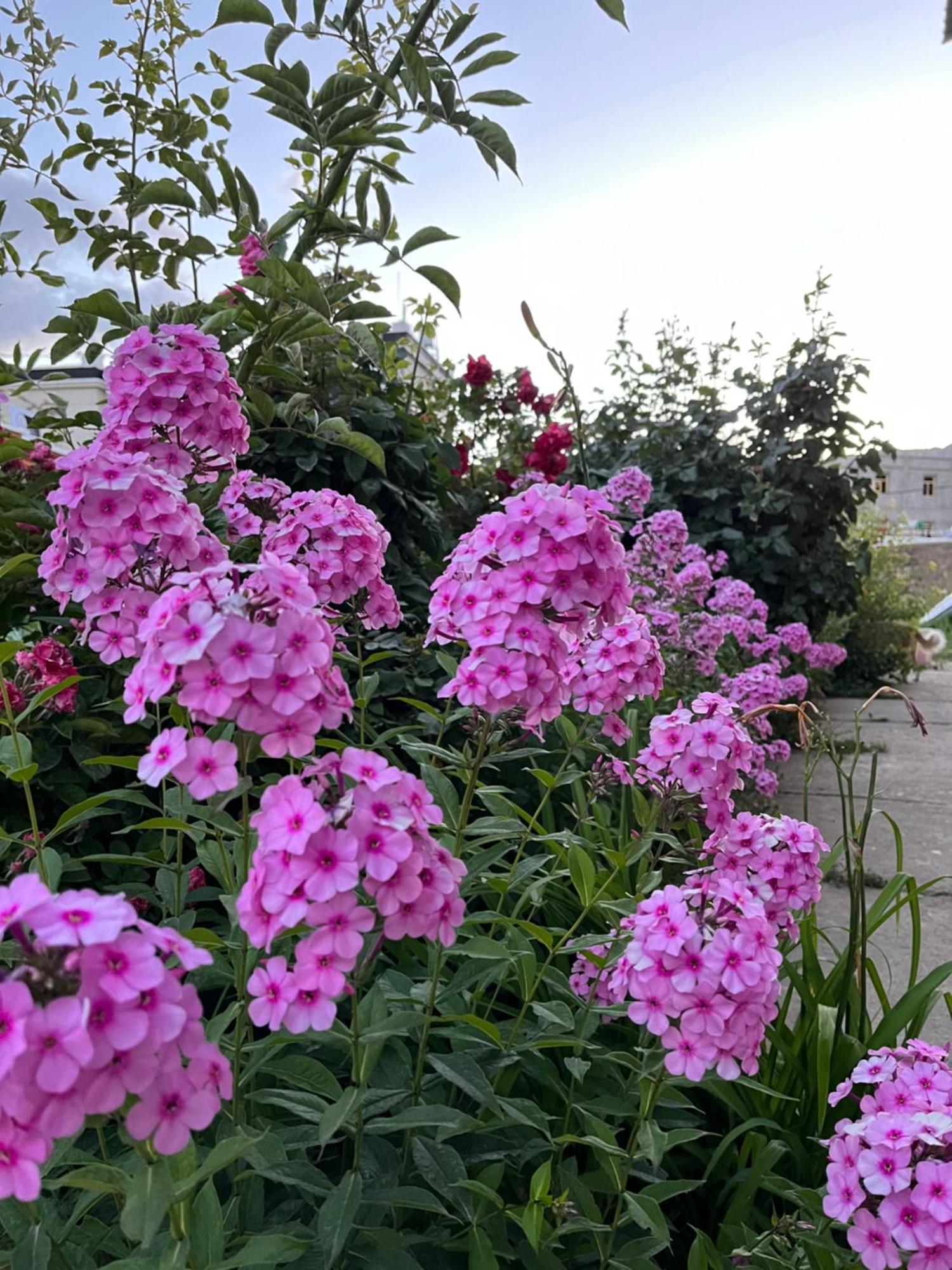 Chakzot Garden House 호텔 레 외부 사진